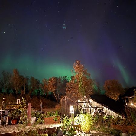 Hakoya Lodge Tromsø Exterior foto
